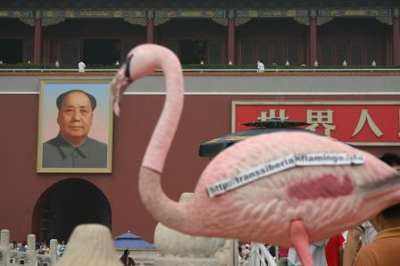 Flamingo with Mao