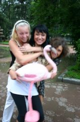 Drunk russians got crazy with flamingo