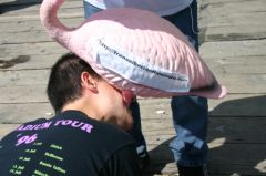 People in the rave party also got crazy with flamingo!! (and alcohol... :P)
